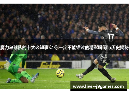 魔力鸟球队的十大必知事实 你一定不能错过的精彩瞬间与历史揭秘