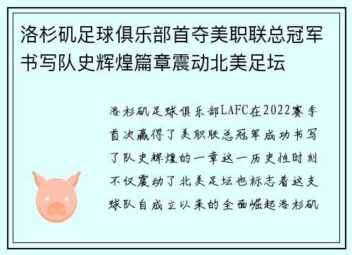洛杉矶足球俱乐部首夺美职联总冠军书写队史辉煌篇章震动北美足坛 洛杉矶足球俱乐部首夺美职联总冠军书写队史辉煌篇章震动北美足坛